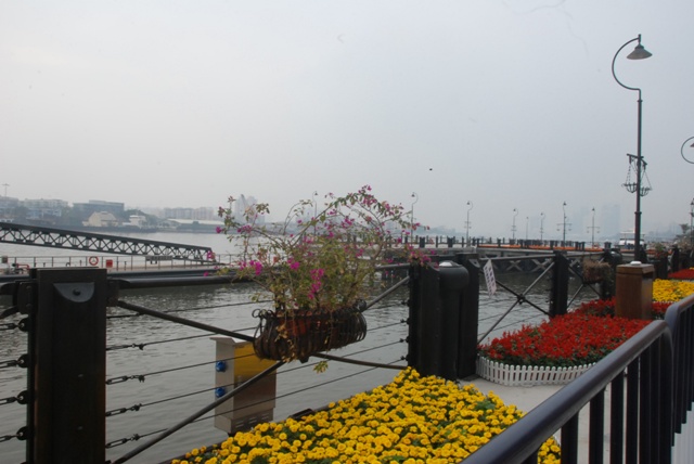 DSC_0355.JPG