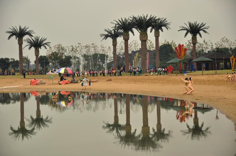 d7.jpg