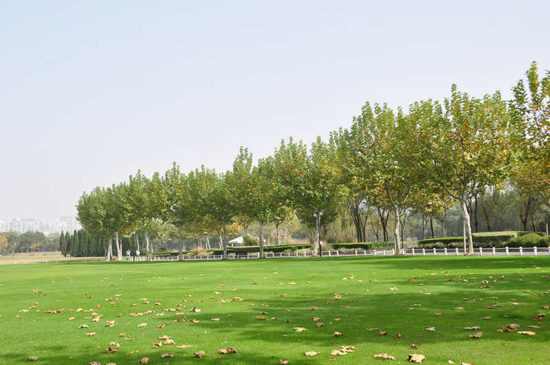 b3.jpg
