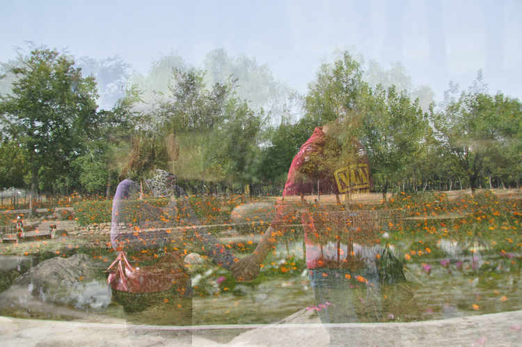 k5.jpg