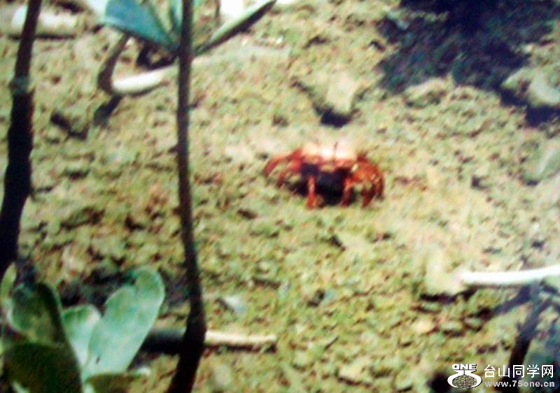 2010 863.jpg