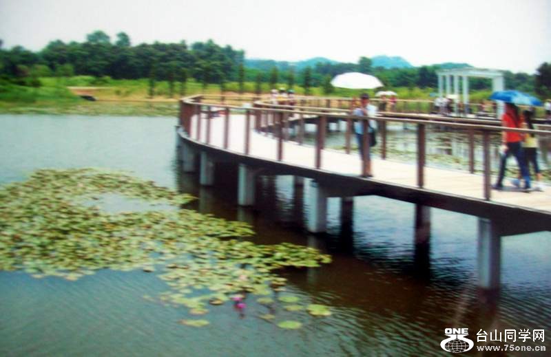 2010 861.jpg