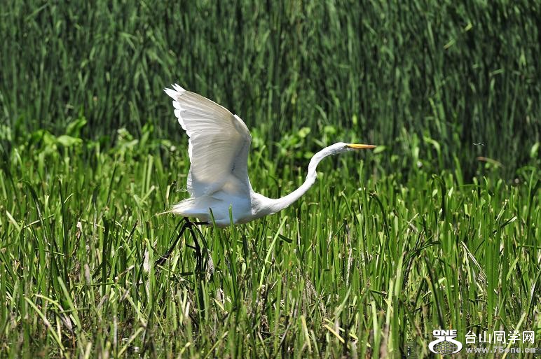 DSC_6664.JPG