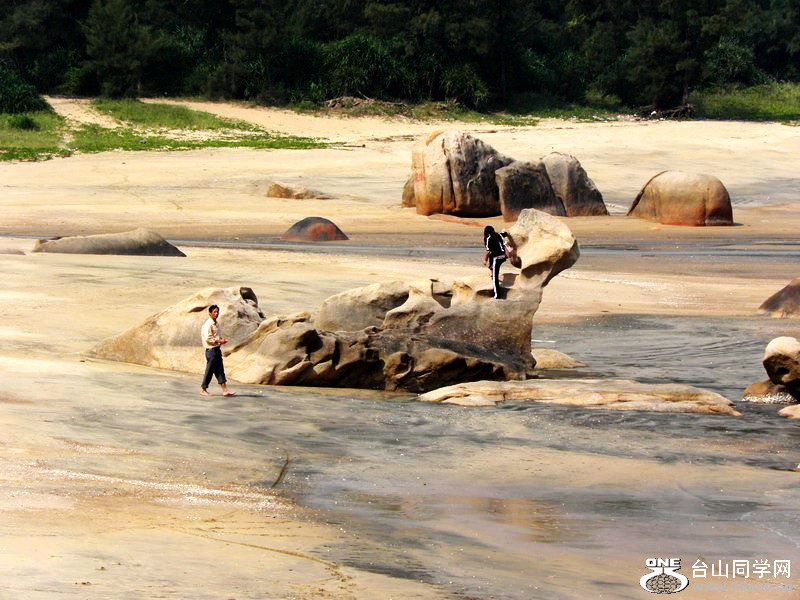 PA240329.jpg