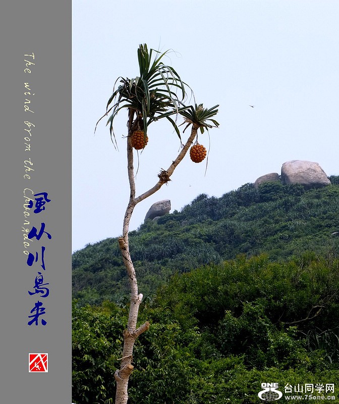 DSCF2367.jpg