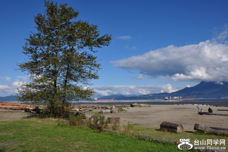 DSC_1042--1.jpg
