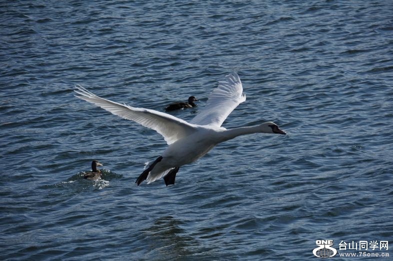 DSC_0006---01.jpg