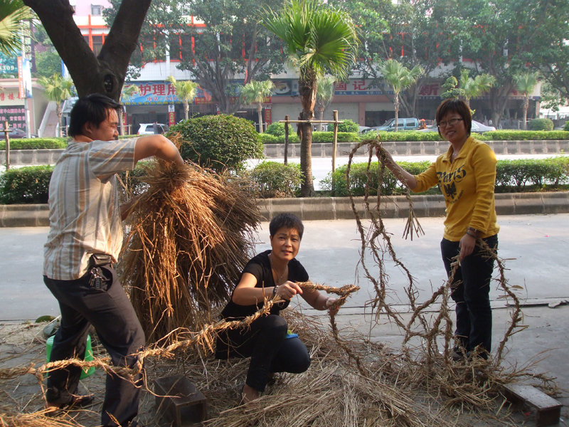 DSCF6321.jpg