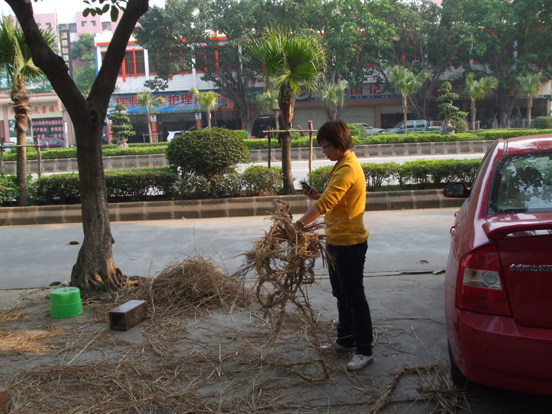 DSCF6323.jpg