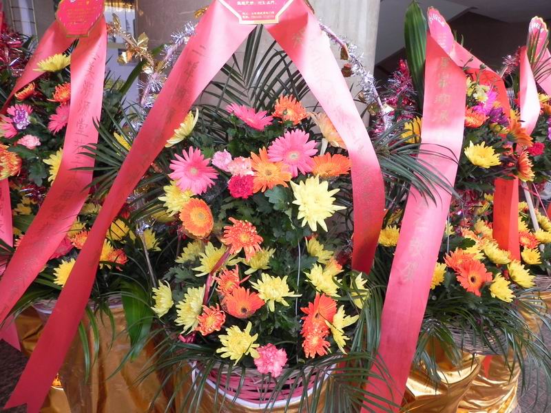 С DSCN5960.JPG