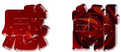 99610_2500299_43.gif