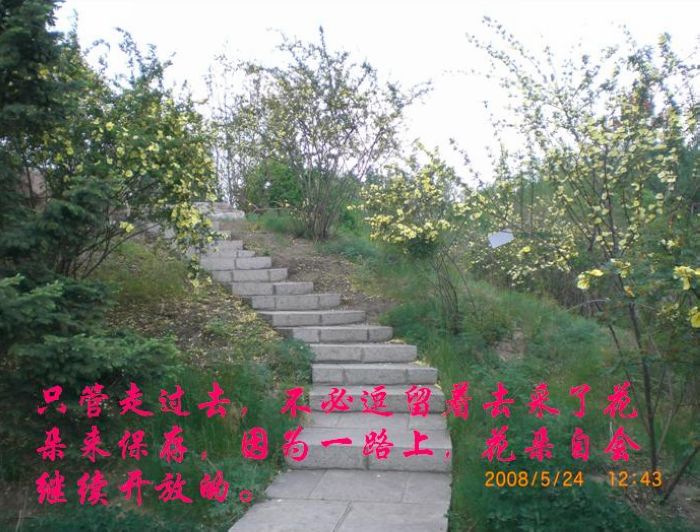 77484_3668367_18.jpg