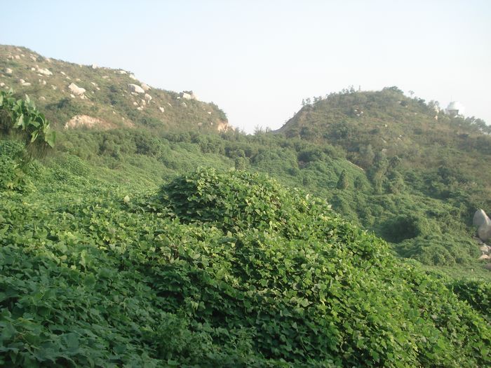DSC00985.JPG