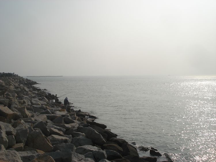 DSC01020.jpg