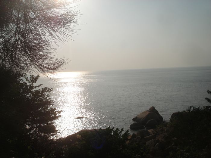 DSC00980.JPG
