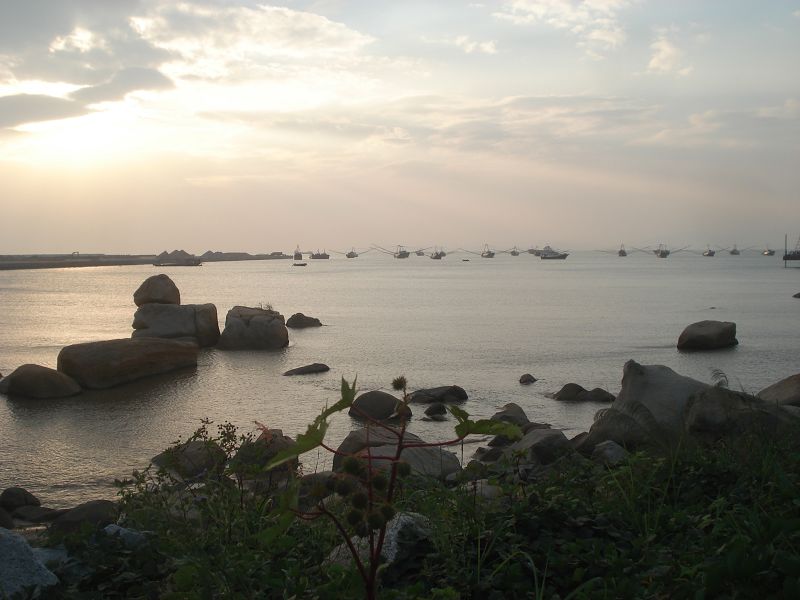 DSC01005.jpg