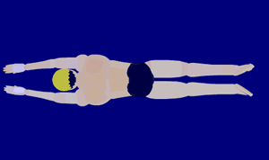 200971010141052751.gif