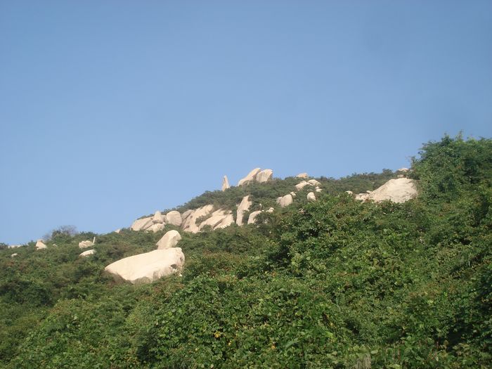 DSC00974.JPG