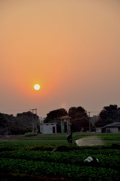 DSC_0920.JPG