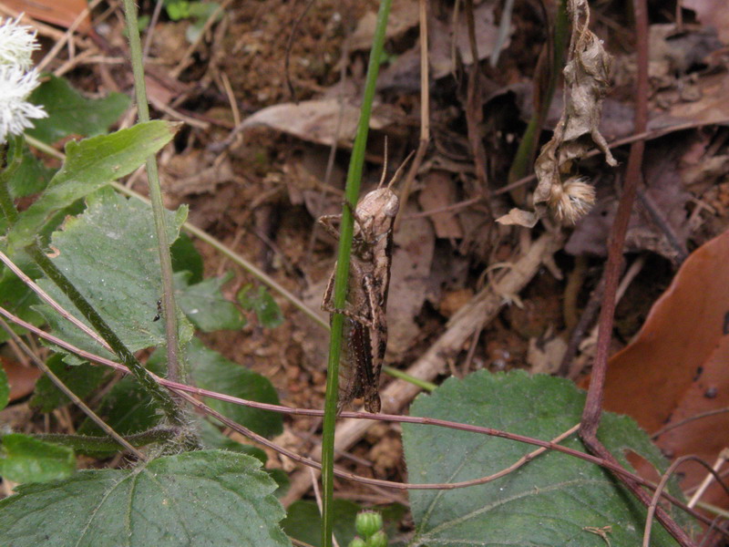 PB222499.jpg