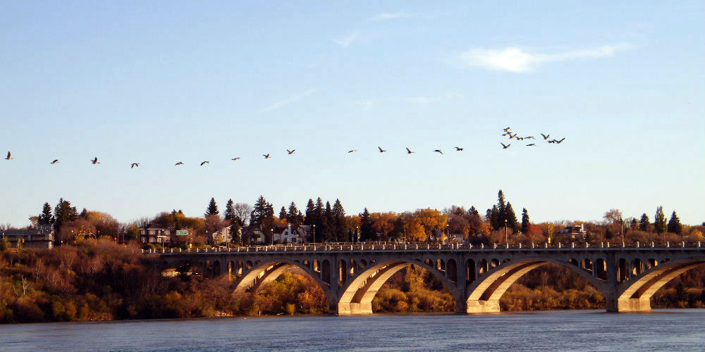 DSCF4398.jpg