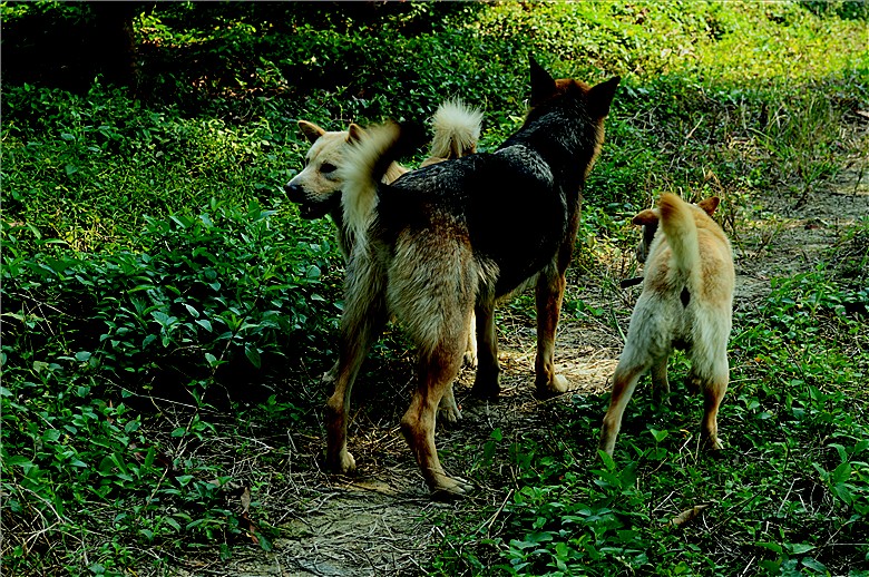 DSC_0507_.jpg