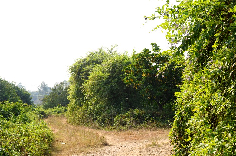 DSC_0535_.jpg