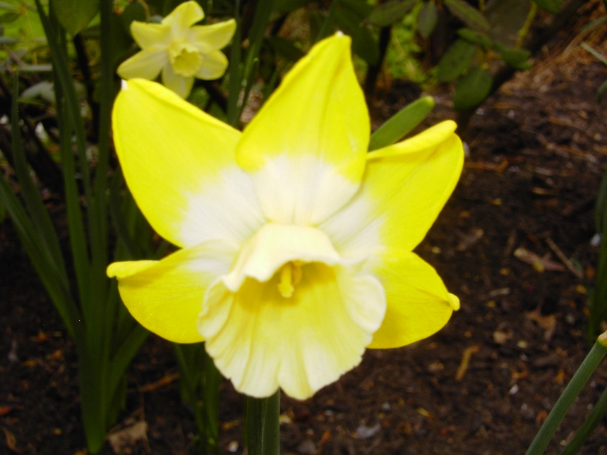 PICT0998.JPG