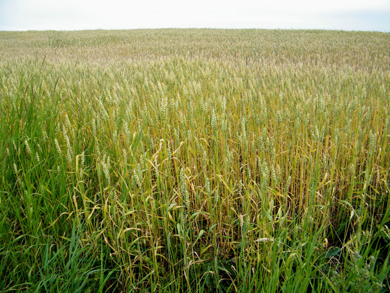 DSCF2603.JPG
