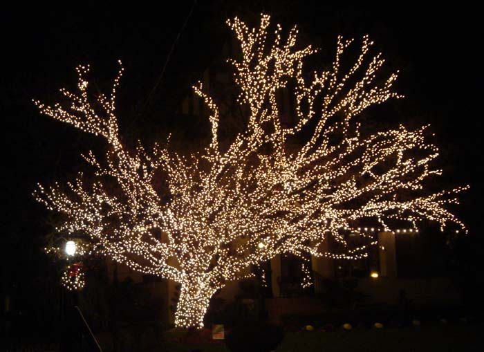 DSC03210.JPG