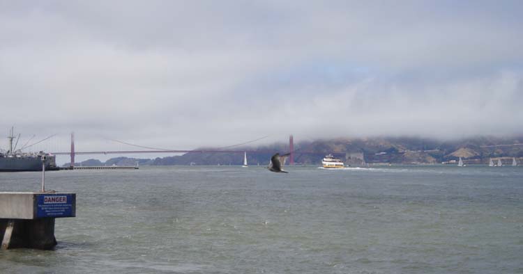DSC01378.JPG