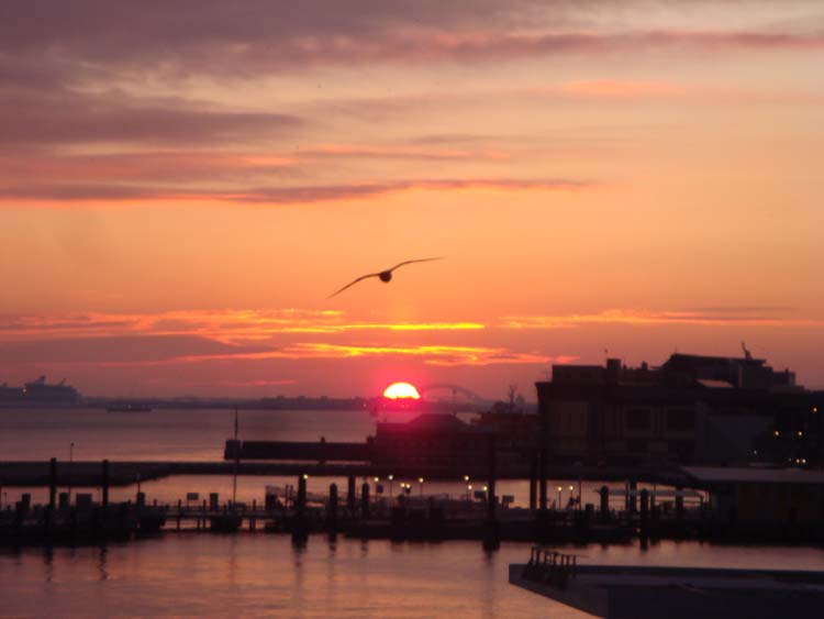 DSC03111.JPG