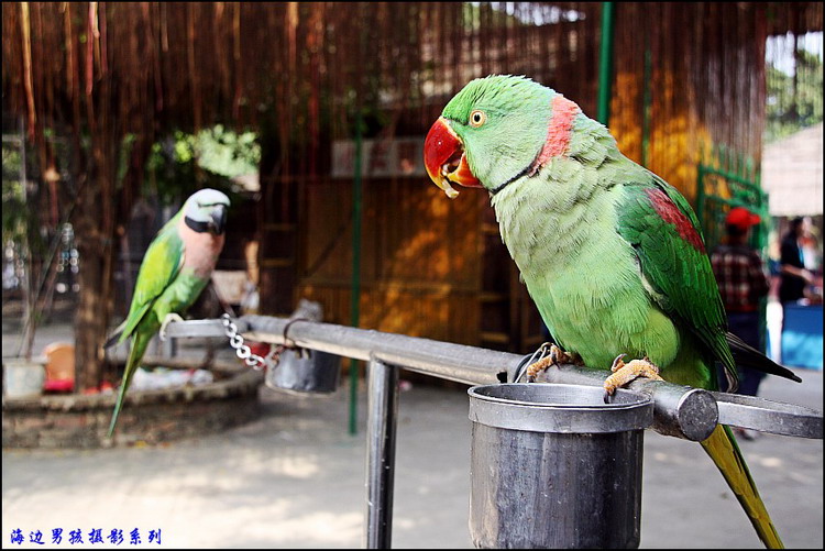 IMG_3267_conew1.jpg