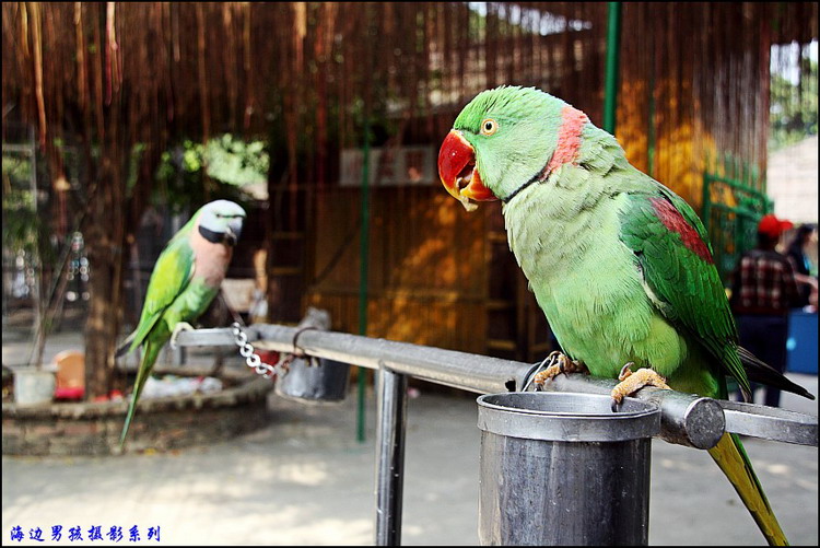 IMG_3268_conew1.jpg