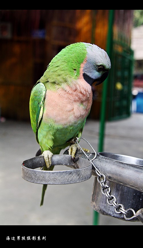 IMG_3280_conew1.jpg