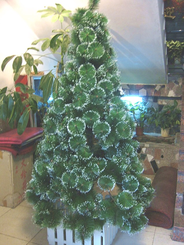 IMG_0499 (638x850)_.jpg