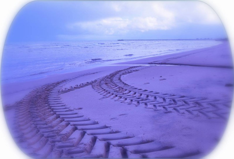 Picture7 [800x600].jpg