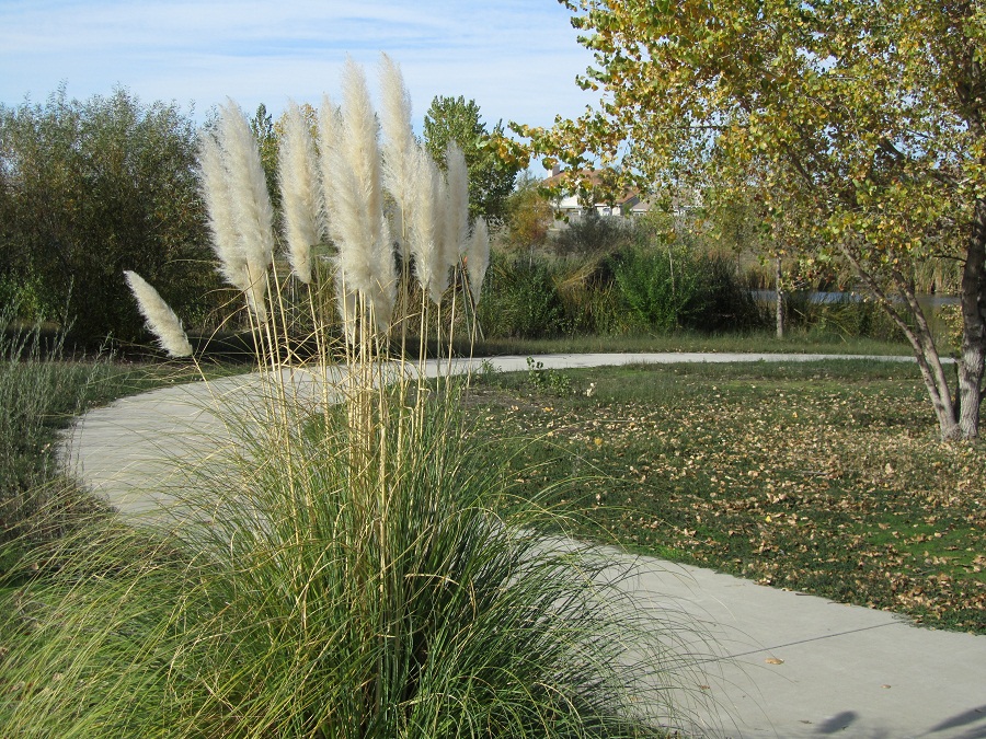 n051.jpg