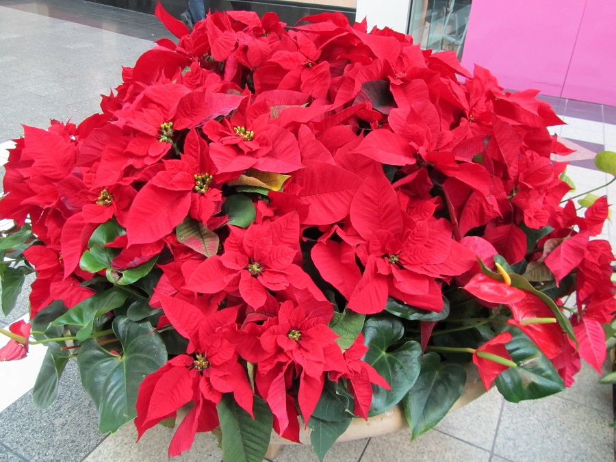 n024.jpg