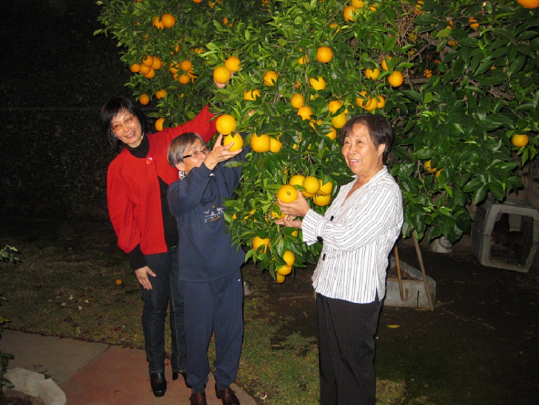 IMG_2304a.jpg
