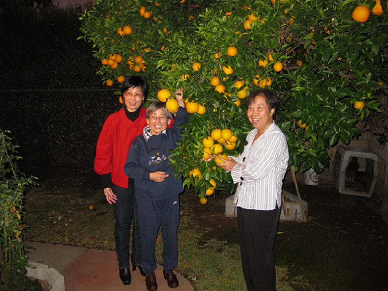 IMG_2303a.jpg