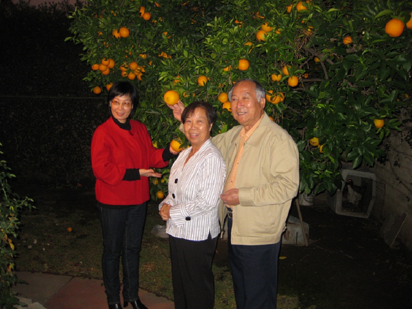 IMG_2301a.jpg