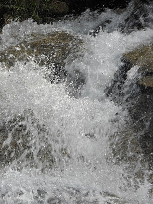 PC053251.jpg