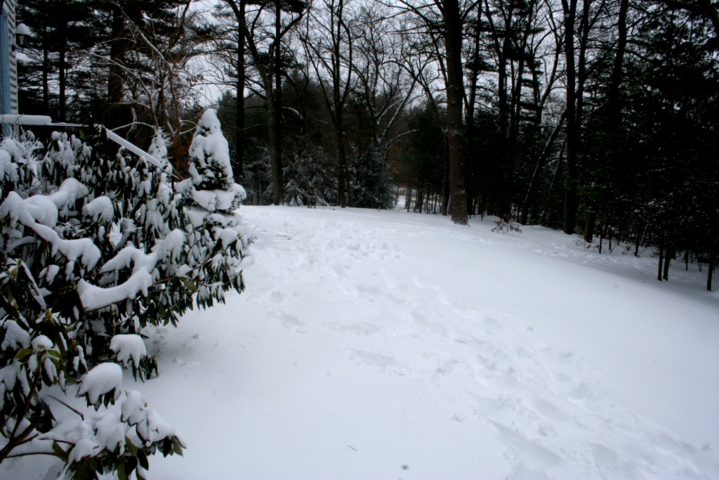 IMG_2469.JPG