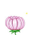 ӭ.gif
