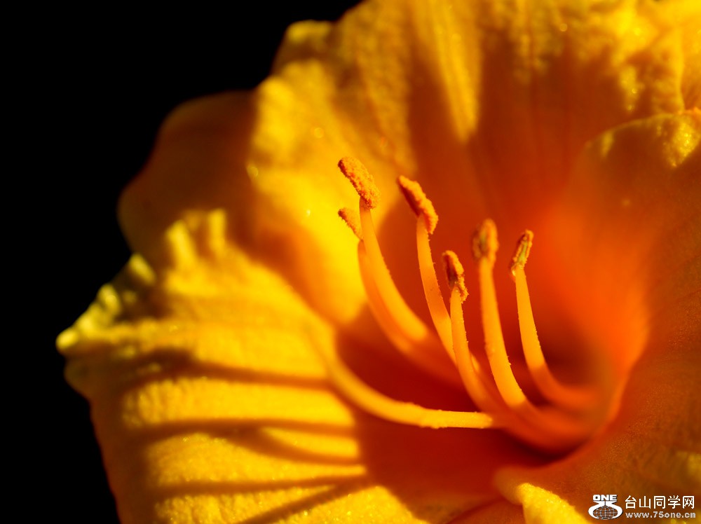 DSC_5403-1.jpg