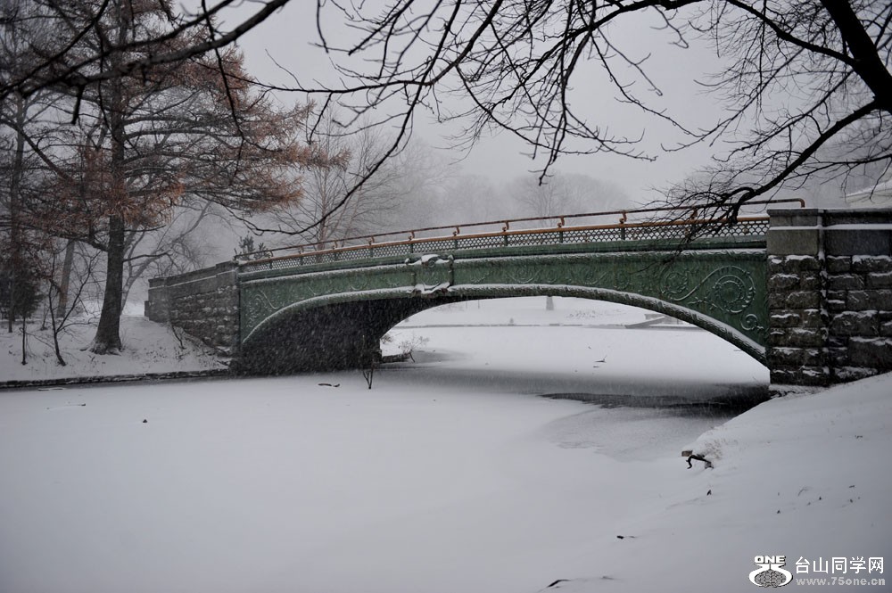 DSC_4584-1.jpg