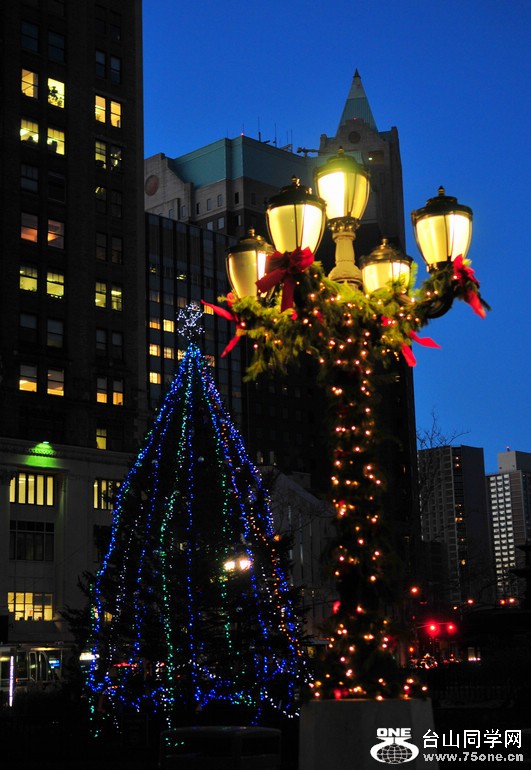 DSC_8653.JPG
