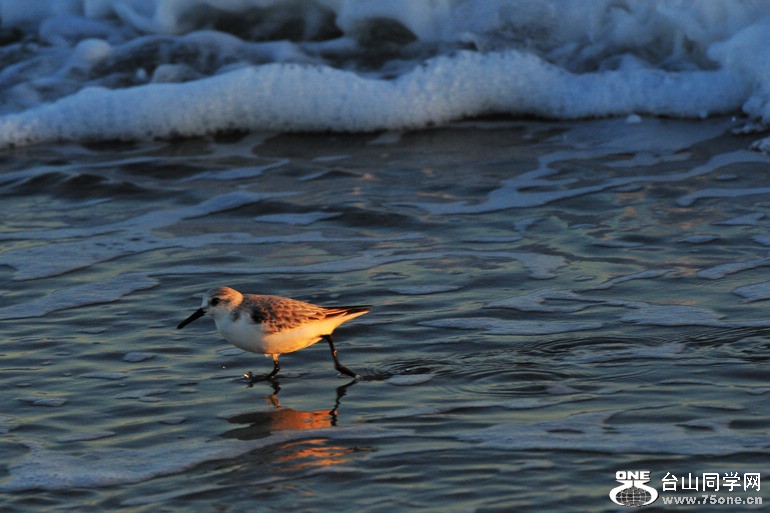 DSC_9675.JPG