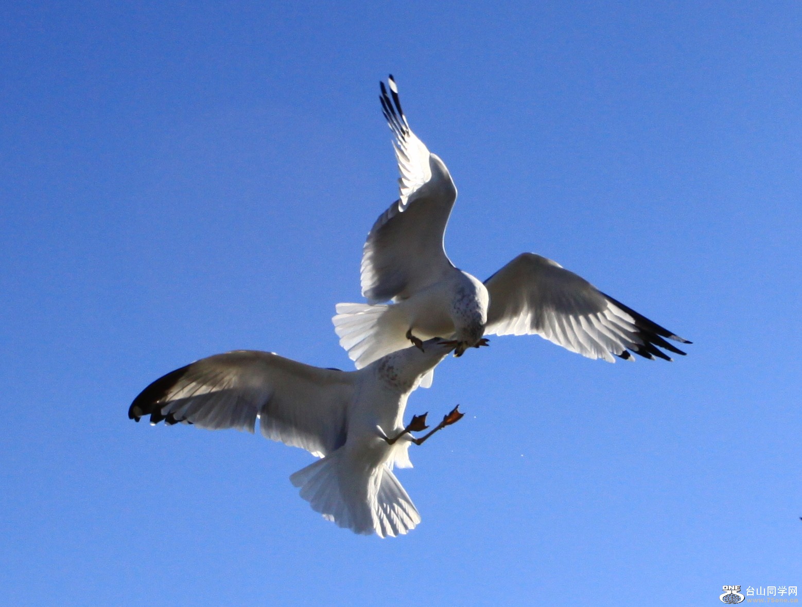 }u (2) -IMG_6808.jpg